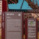 옛숨결 | 밀양 여행 | 도심 속 조선시대로의 시간 여행, 밀양관아 방문 후기