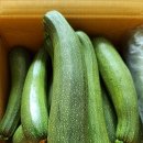 푸른상사 이미지