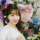 로즈앤캔디 이미지
