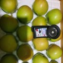 김석규 농장 이미지