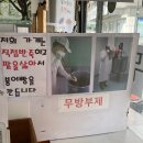 강릉 디저트 강릉크로와상붕어빵 후기 입니당