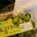 자연마중 이미지