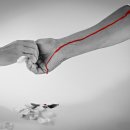 가나동물병원 이미지