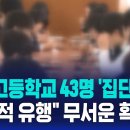 부산 고등학교 43명 '집단 감염... 백일해 "세계적 유 행. 무서운 확산세 / SBS 8뉴스 이미지