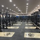 뉴바디휘트니스 이미지