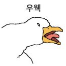 노벨로(NOVELLO) 이미지