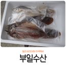 부일수산 이미지