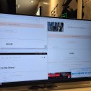 터틀짐 영통점 | 겨울잠이 깬 듯 덜 깬 듯 숙취 같았던 3월