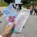 두레건축 | [충남 당진 여행] 과거와 현재가 만나는 곳, ‘2026 또봄면천’ 축제 셔틀버스부터 명소까지 생생 후기!
