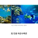 내년에 오픈한다는 부산 놀이공원 오시리아 테마파크.jpgif 이미지