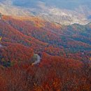 1박2일 아래 이미지