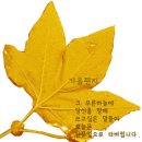 하우스깔끄미 이미지