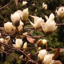 한일농장 이미지