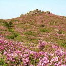 빛고을세탁 이미지