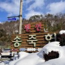 담양송죽헌 이미지