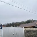 다경하녹 이미지