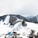 비고리조트 17 이미지