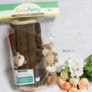 도그아로마 이미지