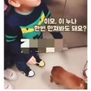 뚱형