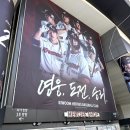 고척스카이돔 | 불꽃야구 2 고척 스카이돔 야구장 직관 후기 (스포X) 1루 409 구역 T열 시야