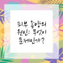 삼정동물병원 | 고양이 피부 건강 지키기! 해운대동물병원에서의 꿀팁