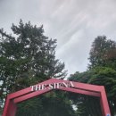 더시에나CC(대중형 18홀) | 더시에나cc 제주 라운딩 후기