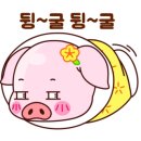 직퀘스트 이미지
