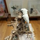 인천조류원 이미지