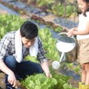 인원농장 이미지