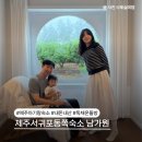 남가원 네이버블로그
