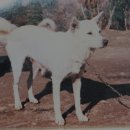 석장목장 이미지