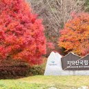 은행나무상회 - 과천시 | 은행나무상회