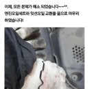 인하카마스타