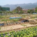 도봉농장 이미지