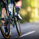 울트라 짐 이미지