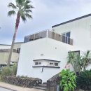 달콩 제주 이미지