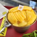 (주)제일팜 이미지