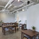 티엔트리Tea&Tree