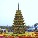 전북 익산 천만송이 국화축제 (1) 이미지