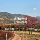 섬진강끝들마을 | 전남 구례가볼만한곳 섬진강 수달생태공원 홍매화 여행과 산수유 꽃 축제