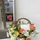 본비플레르 이미지