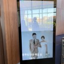 트리트리 | W02.제주 캠퍼트리! 웨딩홀 후기 (장단점)