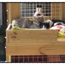 백송타워 이미지