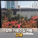 고새 | 창원 가로수길 카페 추천, 고새(GOSAE) 방문 후기