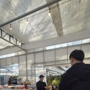 농업회사법인(유)그린농장 | 24개월 아기랑 담양 귤따기체험 꿈에그린체험농장 (꿀팁,요금확인)