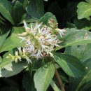 학교사회복지론 이미지