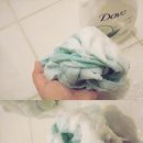 아쿠아후레쉬 Daum카페