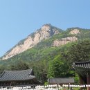 (유)한마음고속관광 이미지