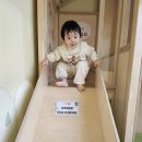 가호동20 Daum카페