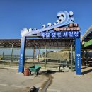 바다길이 열리는 인천 옹진 선재도 목섬 이미지